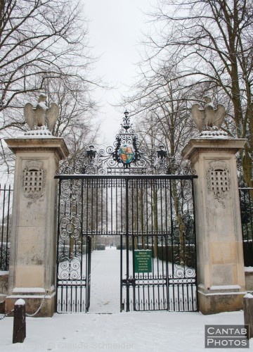 Cambridge in the Snow - Photo 2