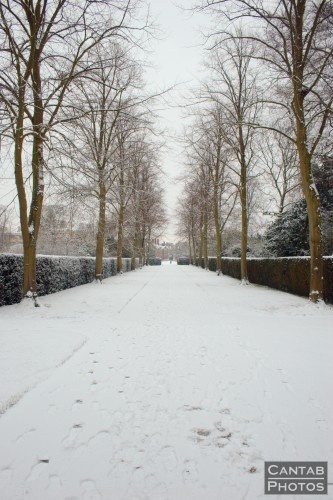 Cambridge in the Snow - Photo 3