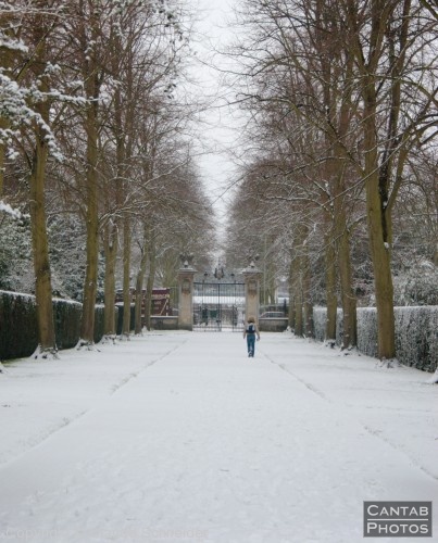 Cambridge in the Snow - Photo 4