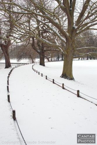 Cambridge in the Snow - Photo 12