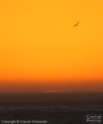 South African Sunsets - Photo 10
