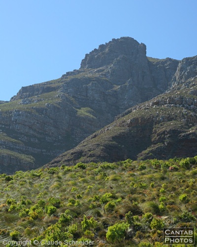 South African Landscapes - Photo 7