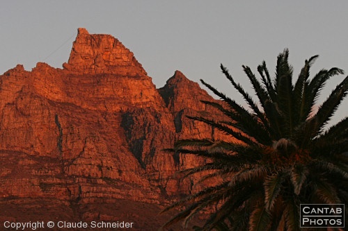 South African Landscapes - Photo 10