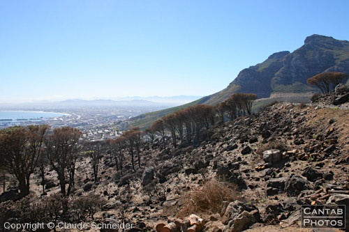 South African Landscapes - Photo 11