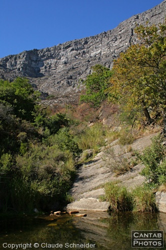 South African Landscapes - Photo 12