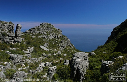South African Landscapes - Photo 16