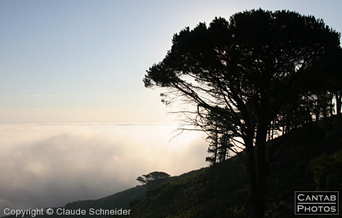 South African Landscapes - Photo 20