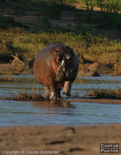Kruger Park Safari - Photo 24