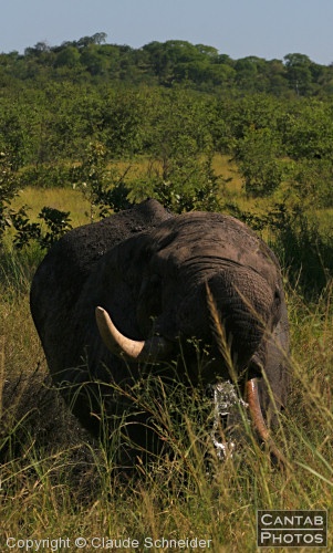 Kruger Park Safari - Photo 28