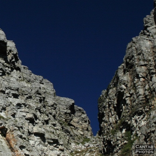 Colour & Form - South Africa - Photo 43