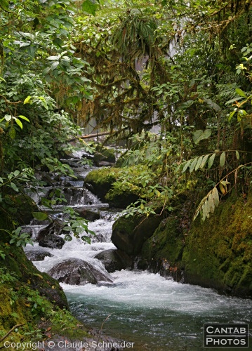 Costa Rica - Landscapes - Photo 15