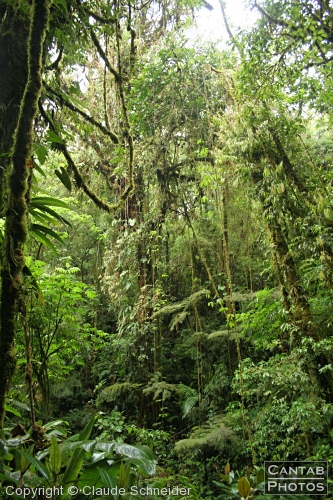 Costa Rica - Landscapes - Photo 29