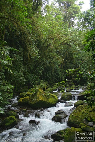 Costa Rica - Landscapes - Photo 30