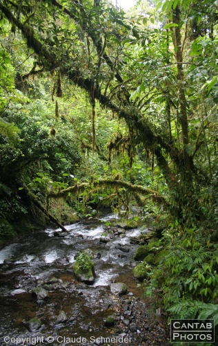 Costa Rica - Landscapes - Photo 31