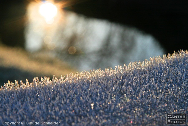 Bright Frosty Morning - Photo 8