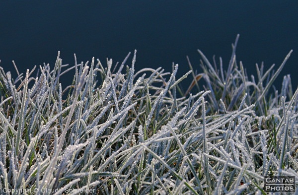 Bright Frosty Morning - Photo 14