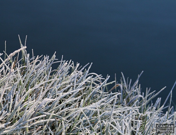 Bright Frosty Morning - Photo 15