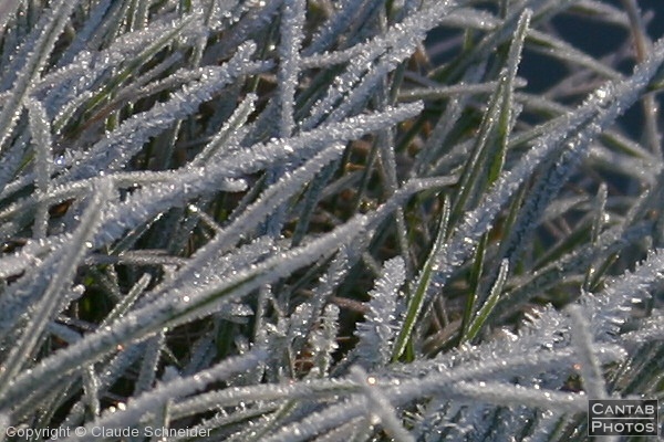 Bright Frosty Morning - Photo 16