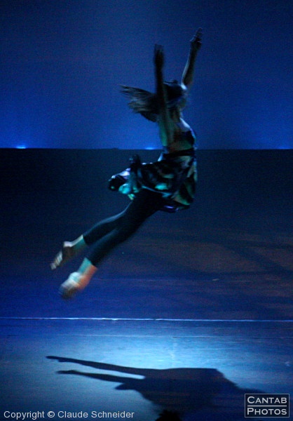 Perspectives - CUCDW Dance Show 2008 (Part 1) - Photo 66