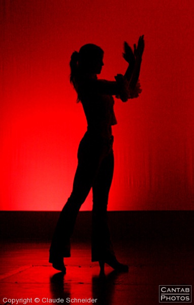 Perspectives - CUCDW Dance Show 2008 (Part 2) - Photo 80