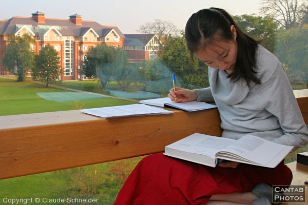 Relaxed studying in New Hall