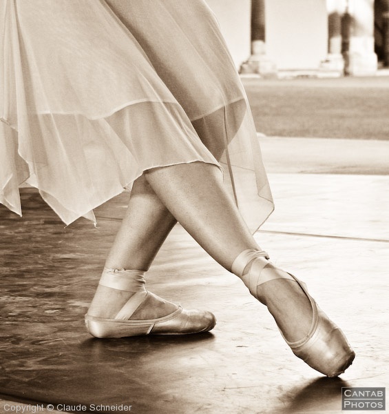 Impressions - Contemporary Dance Show - Photo 125