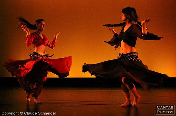 Beauty - Contemporary Belly Dance - Photo 14