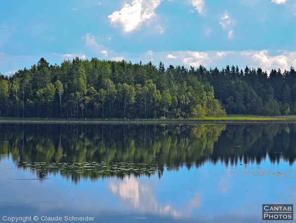 Sweden - Forests & Lakes - Photo 99