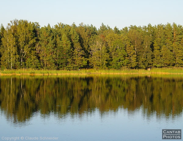 Sweden - Forests & Lakes - Photo 117