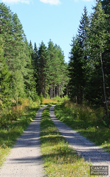 Sweden - Forests & Lakes - Photo 188