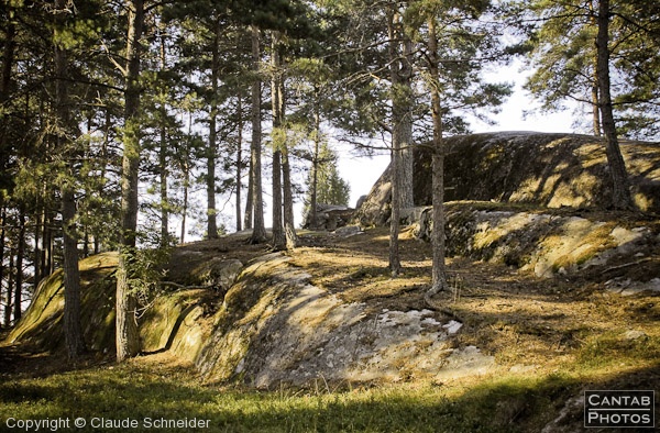 Sweden - Forests & Lakes - Photo 220