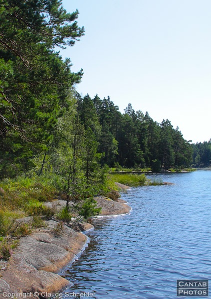 Sweden - Forests & Lakes - Photo 231