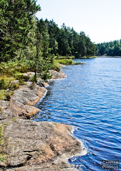 Sweden - Forests & Lakes - Photo 232