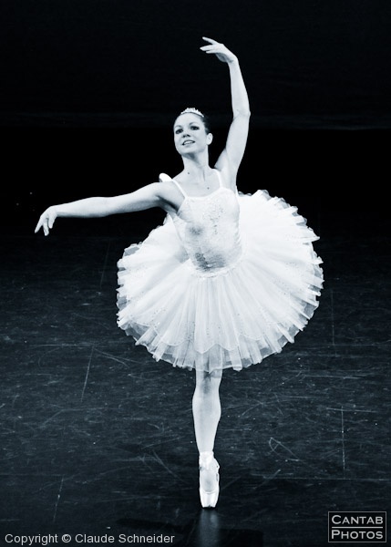 CU Ballet Show 2010 - Photo 241